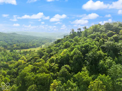 0 McCarthy Knob Road, Lanesville - 25