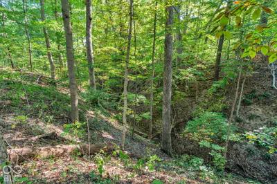 1042 Farmington Drive, Crawfordsville - 71