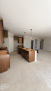 15017 Garden Mist Place, Fishers - 6