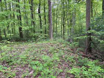 102 & 104 Crabapple Court, Reelsville - 6