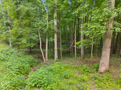 3681 W Jericho Road, Taswell - 48