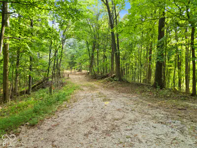 0 McCarthy Knob Road, Lanesville - 5