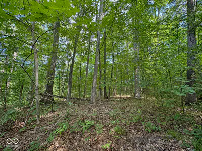 8045 N Ritter Road, Morgantown - 4