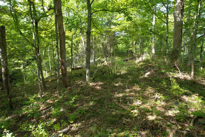 15839 State Road 156, Patriot - 11