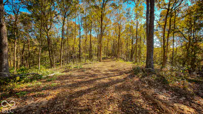 13290 E River Road, Shoals - 24