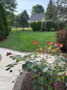 10646 Walnut Creek Drive W, Carmel - 62