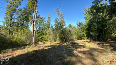 0 Michaels Road, Bloomfield - 31