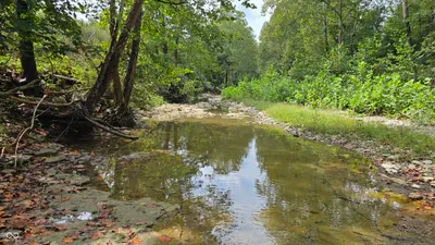 6847 Brushy Fork Road, Madison - 17