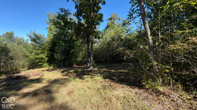 0 Michaels Road, Bloomfield - 32