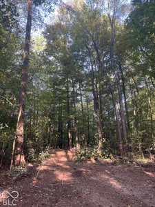 Tract 9 Sunnyside Road, Deputy