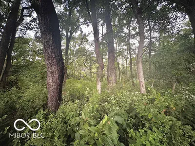 Lot #1 100, Perrysville - 9