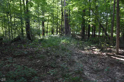 0 Sichting Road, Martinsville - 29