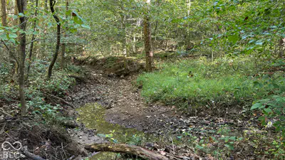 0 Michaels Road, Bloomfield - 20