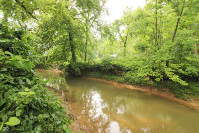 0 Old Nashville Road, Columbus - 9