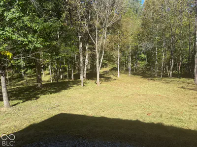537 Pea Ridge Road, Spencer - 5