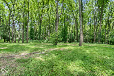 0 Maple Street, Alton - 10