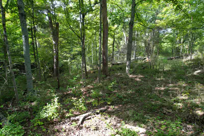 15839 State Road 156, Patriot - 12