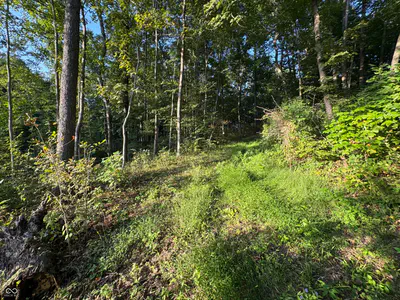 2436 Firecrest Lane, Freedom - 18