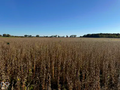 0 State Rd 234 SR 234, Wilkinson - 8