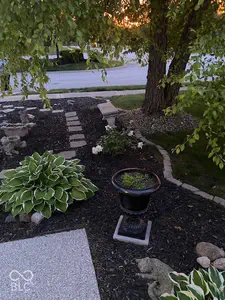 6037 Riva Ridge Drive, Indianapolis - 55