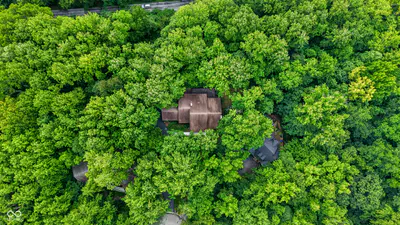 7255 Tuliptree Trail, Indianapolis - 43