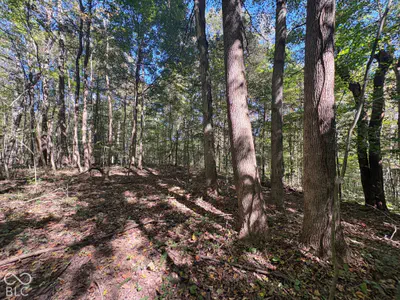 3920 N County Road 500 W, West Baden Springs - 7