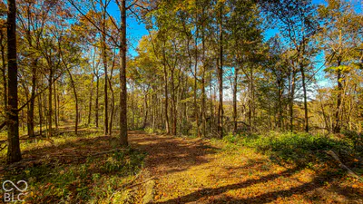 13290 E River Road, Shoals - 27
