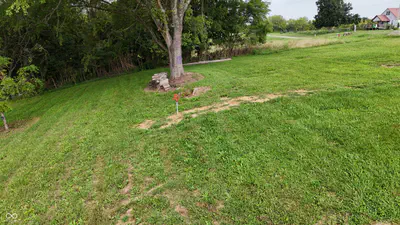 10372 Dugan Road, Vevay - 70