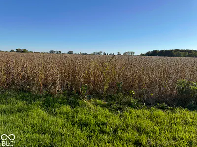 0 State Rd 234 SR 234, Wilkinson - 6