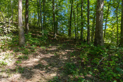0 Pumpkinvine Hill Road, Martinsville - 3