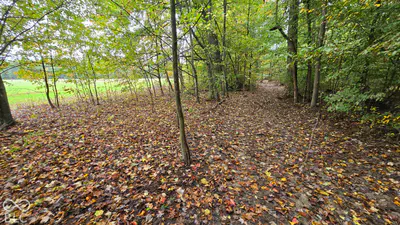 3949 E Thornton Road, Madison - 16