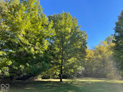1968 W County Road 1050 S, Cloverdale - 52