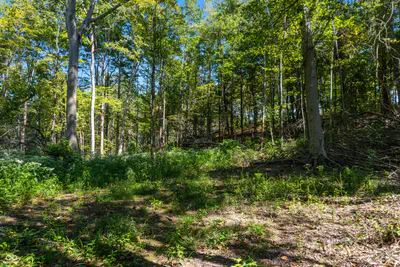 0 Pumpkinvine Hill Road, Martinsville - 13