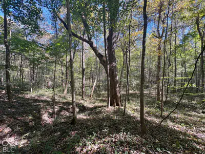 3920 N County Road 500 W, West Baden Springs - 8