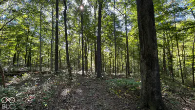 0 Michaels Road, Bloomfield - 35