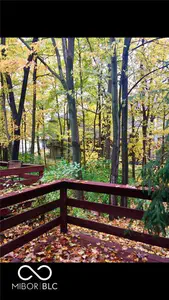 11528 Hidden Bay, Indianapolis - 14