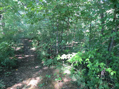 9814 Short Chute, Morgantown - 21