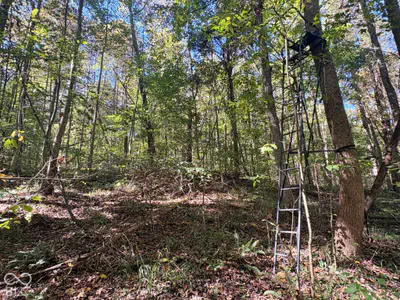 3920 N County Road 500 W, West Baden Springs - 5