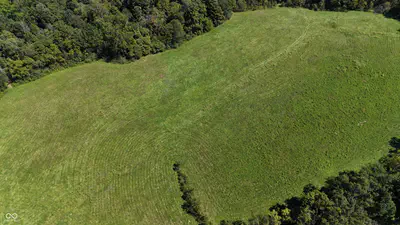 2436 Firecrest Lane, Freedom - 28
