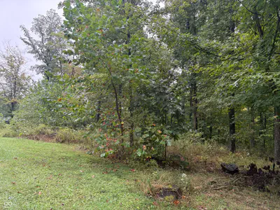 7202 Locust Lake Road, Spencer - 14