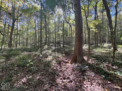 3920 N County Road 500 W, West Baden Springs - 15