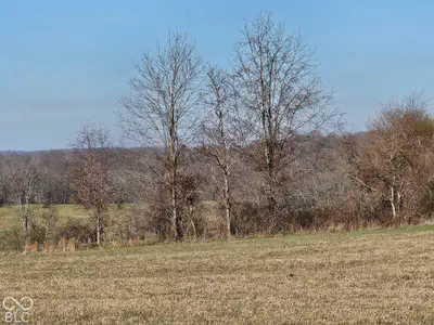 8798 Strain Ridge Road, Bloomington - 6