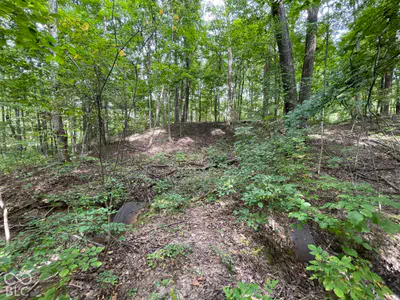 778 W Gasburg Lane, Mooresville - 66