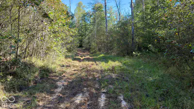 0 Michaels Road, Bloomfield - 29