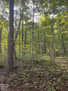 Tract 7 Sunnyside Road, Deputy - 5