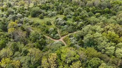 6847 Brushy Fork Road, Madison - 7