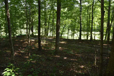 0 Sichting Road, Martinsville - 9