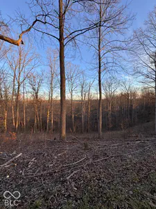 1625 State Road 46, Nashville - 2