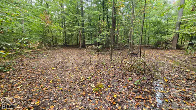 3949 E Thornton Road, Madison - 15