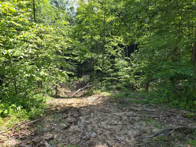 0 Blue Barn Road, Bloomfield - 37